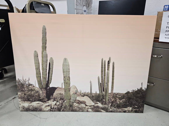 Desert Picture Canvas