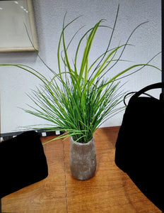 Fake House Plant